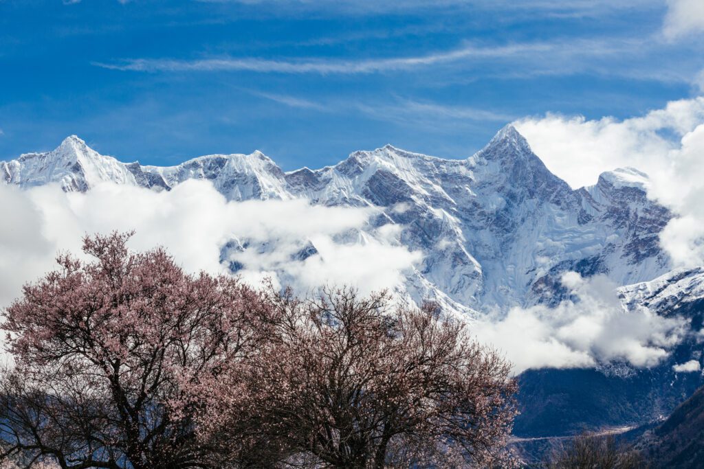 嘎拉桃花村