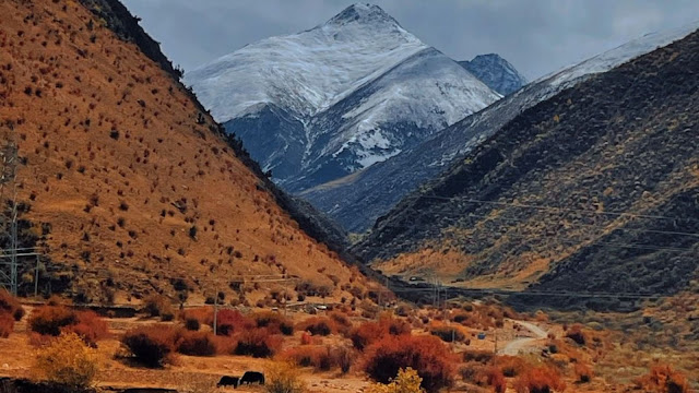 Autumn in Tibet 2