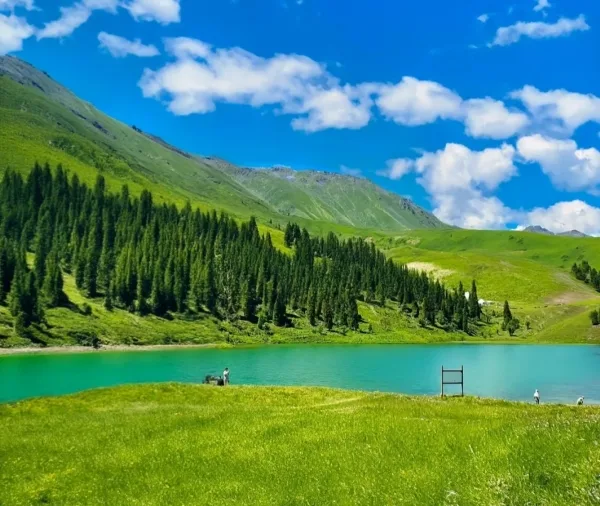 仙女湖(阿克塔斯湖)湖水呈高山冰川融水特有的碧蓝色,四周云杉与雪山环抱